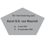 Grafmarkering 'Georgia" is een bordje in een RVS-Look in het formaat  240x150mm  in de vorm van een pentagon