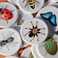 CombiCraft CombiPlay -  Memorie spel Insecten uitbreidingsset 2x25 stuks