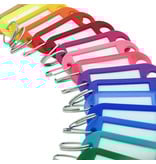 Sleutellabels kleurassorti 55 x 22 mm 50 stuks (mix van 25 kleuren)