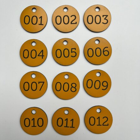 CombiCraft Restpartij: Ronde nummerplaatjes in het oranje met gat en gravering 1 t/m 12 - 1 set