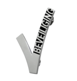 Beveiligings embleem, - Security embleem of Beveiligingsspeld voor particuliere beveiligers, de bekende V-pin in de maat 40x60mm