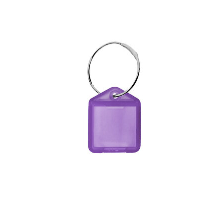 Mini (XS) openklapbare sleutellabels van 38 x 22 mm - set van 100 stuks