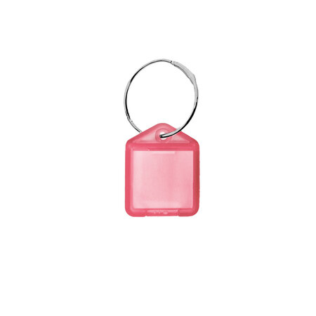 Mini (XS) openklapbare sleutellabels van 38 x 22 mm - set van 100 stuks