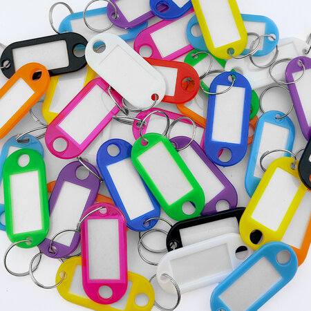 Sleutellabels met inschuifpapier 48x22mm in een kleurenmix - per 100 stuks