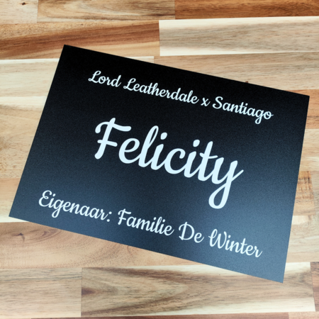 Aluminium CombiPaneel Bordje met jouw eigen ontwerp 21x30cm (ca. A4)