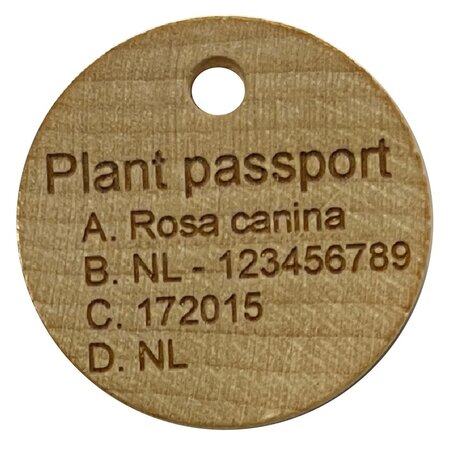 Bio Hangetiket of hang label in hout voor aan planten, per 100 stuks
