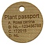 Bio Hangetiket of hang label in hout voor aan planten, per 100 stuks