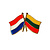 Vriendschapsspeld Nederland - Litouwen