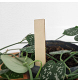 CombiCraft Houten steeketiketten 20x100x2mm - per 100 stuks