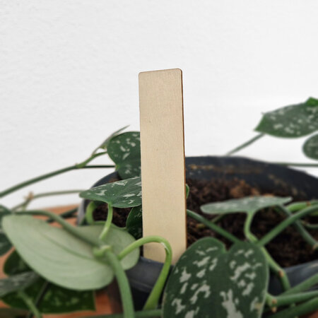 CombiCraft Houten steeketiketten 20x100x2mm - per 100 stuks