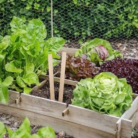 Blanco houten steeketiketten 258x16mm - per 10 stuks