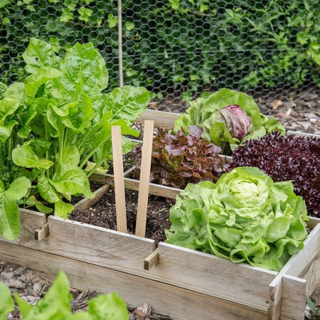 CombiCraft Blanco houten steeketiketten 258x16mm - per 10 stuks