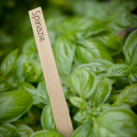 Houten steeketiketten 258x16mm groente- en fruitset - per set