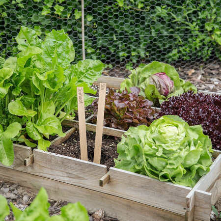 CombiCraft Houten steeketiketten 258x16mm groente- en fruitset - per set