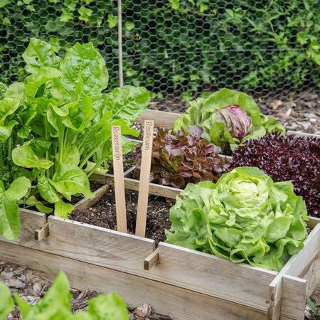 Houten steeketiketten 258x16mm kruidenset - per set