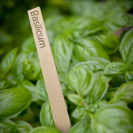 Houten steeketiketten 258x16mm kruidenset - per set
