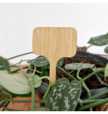 Bamboe steeketiketten 60x100x2mm - per 100 stuks