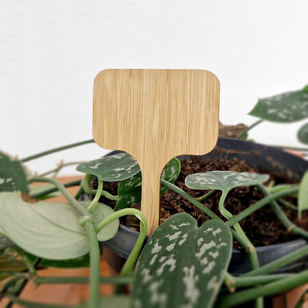 Bamboe steeketiketten 60x100x2mm - per 100 stuks