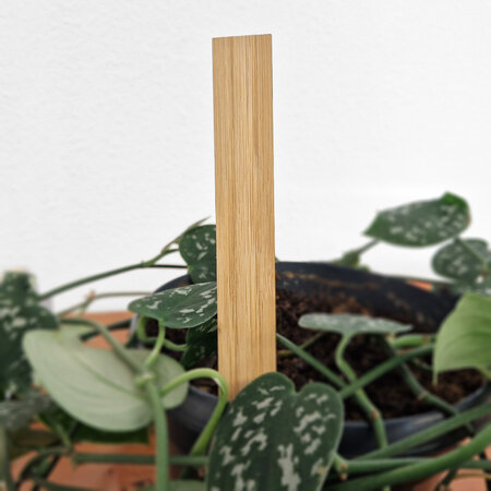 CombiCraft Bamboe steeketiketten 20x150mm - per 100 stuks