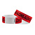 No alcohol allowed Tyrex polsbandjes - 100 stuks