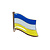 Vlag pin Spijkenisse