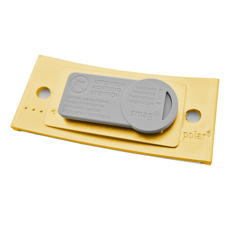 CombiCraft Blanco Polar naambadge kunststof met magneet goudkleurig - per 1 stuk