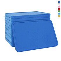 Blanco munten plastic 50x35mm - 100 stuks