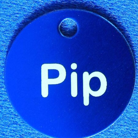 Lovely Dogs Ronde dierenpenning (Type 1)