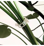 CombiCraft Plantenbinders of plantenklemmen van kunststof 21x26mm transparant - per 10 stuks