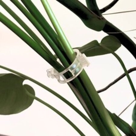 CombiCraft Plantenbinders of plantenklemmen van kunststof 21x26mm transparant - per 10 stuks