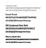 CombiCraft Hondenpenning botje middel 34x23mm met naam en tekst – per stuk