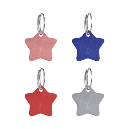 CombiCraft Hondenpenning ster 27x27mm met naam en tekst – per stuk