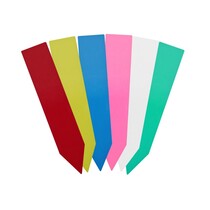 Steeketiketten 100mm - 100 stuks