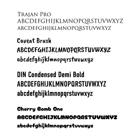 Lovely Dogs Hondentag aluminium groot 50x28mm met tekst - per stuk