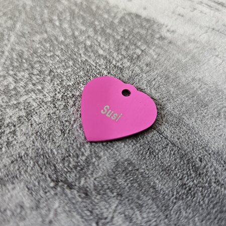 CombiCraft Hondenpenning hartje klein 21x21mm met naam en tekst - per stuk