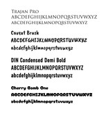 CombiCraft Hondenpenning botje middel 34x23mm met naam en tekst – per stuk