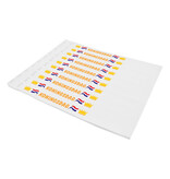 Koningsdag polsbandjes full colour druk - per 100 stuks