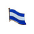 Vlag pin Diemen