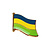 Vlag pin Dinkelland
