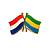 Vriendschapsspeld Nederland - Gabon