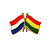 CombiCraft Vriendschapsspeld Nederland - Bolivia