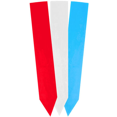 Blanco steeketiketten 30x200mm in 350 micron - per 100 stuks