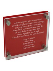  Transparant/rood plexiglas 300x300mm