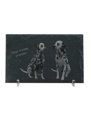  Leisteen met plexiglashouders, 40x25cm