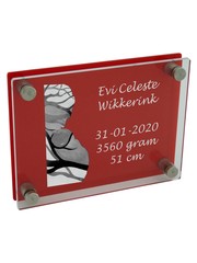  Plexiglas transparant/rood met gravure  200x150mm of 150x200mm