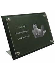  Leisteen met transparant plexiglas, incl. 2 standaards, 40x25cm