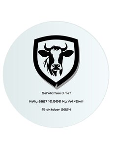  Spiegel graveren, 40cm rond x 0,4cm