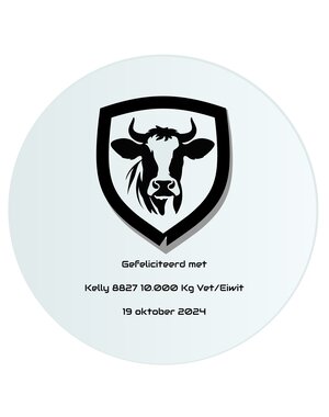  Spiegel graveren, 40cm rond x 0,4cm