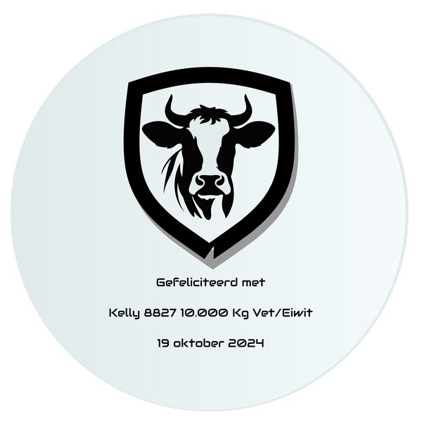 Spiegel met gravure van logo