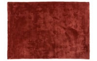 Sandro 63  - Modern hoogpolig vloerkleed in Barn Red